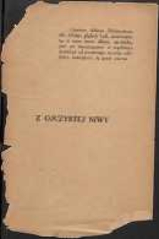 Z ojczystej niwy : studja i szkice
