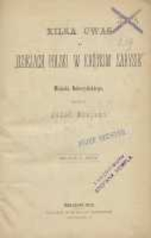 Kilka uwag o „Dziejach Polski w krótkim zarysie” Michała Bobrzyńskiego