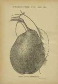 Ogrodnik Polski : Dwutygodnik poświęcony wszystkim gałęziom ogrodnictwa, 1886, R. 8, T. 8, nr 20