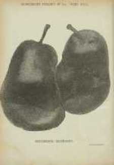 Ogrodnik Polski : Dwutygodnik poświęcony wszystkim gałęziom ogrodnictwa, 1886, R. 8, T. 8, nr 21