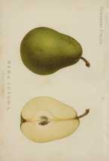 Ogrodnik Polski : Dwutygodnik poświęcony wszystkim gałęziom ogrodnictwa, 1893, R. 15, T. 15, nr 15