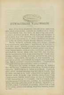 Ogrodnik Polski : Dwutygodnik poświęcony wszystkim gałęziom ogrodnictwa, 1893, R. 15, T. 15, nr 22
