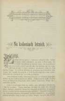 Ogrodnik Polski : Dwutygodnik poświęcony wszystkim gałęziom ogrodnictwa, 1898, R. 20, T. 20, nr 17