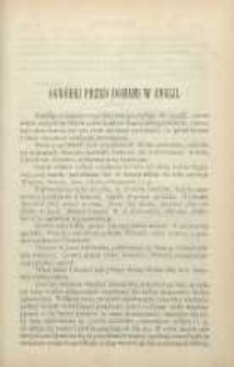 Ogrodnik Polski : Dwutygodnik poświęcony wszystkim gałęziom ogrodnictwa, 1892, R. 14, T. 14, nr 16