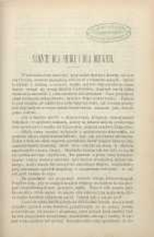 Ogrodnik Polski : Dwutygodnik poświęcony wszystkim gałęziom ogrodnictwa, 1892, R. 14, T. 14, nr 19