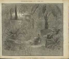 Ogrodnik Polski : Dwutygodnik poświęcony wszystkim gałęziom ogrodnictwa, 1887, R. 9, T. 9, nr 1