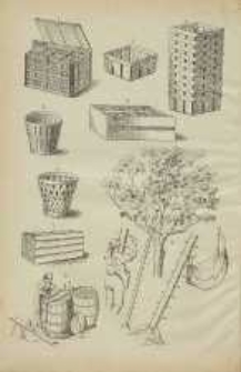 Ogrodnik Polski : Dwutygodnik poświęcony wszystkim gałęziom ogrodnictwa, 1887, R. 9, T. 9, nr 10