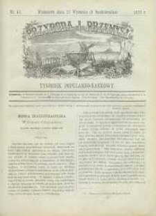Przyroda i Przemysł, 1872, R. 1, nr 41