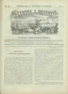 Przyroda i Przemysł, 1872, R. 1, nr 45