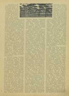 Świat, 1907, R. 2, T. 3, nr 1