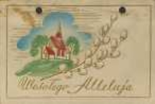 Uzupełnienia do Kroniki Parafii Przytyk : 1961