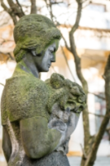 Pomnik na terenie biblioteki