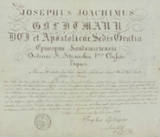 Cum Periltris Adam Rdũs Michael Kobierski […]