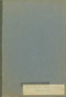 Błotnica. Obraz Matki Boskiej z Dzieciątkiem. Dokumentacja opisowa