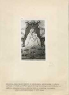 Błotnica. Obraz Matki Boskiej z Dzieciątkiem. Dokumentacja fotograficzna