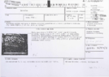 [Karta ewidencyjna zabytku ruchomego]. Epitafium