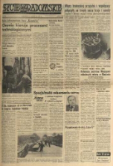 Życie Radomskie, 1977, nr 93