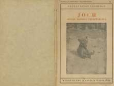 Joch : dzieje małego niedźwiedzia w parku Yellowstone