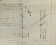 Plan wymiaru Gruntów w Gołębiowie do Probostwa Radomskiego należących kwestyonowanych