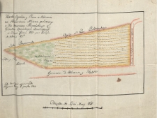 Karta Ogrodu y Placu w Radomiu na Przedmieściu Mliczna położonego a dla Marcina Starońskiego z Gróntow Kościelnych odznaczonego