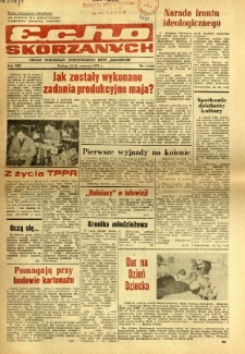 Radomskie Echo Sk&oacute;rzanych, 1976, R. 21, nr 17