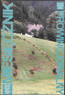 Miesięcznik Prowincjonalny, 2003, R. 6, nr 7/8