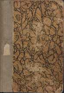 Dzieje 1863 roku T. 2